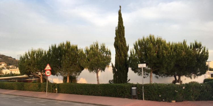 Arbustos entre los que había un hombre herido, en el Centro Cultural de Jesús. Foto: Toni Escandell.