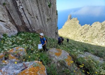 Fotos: Arxiu RRNN (Virgínia Picorelli)