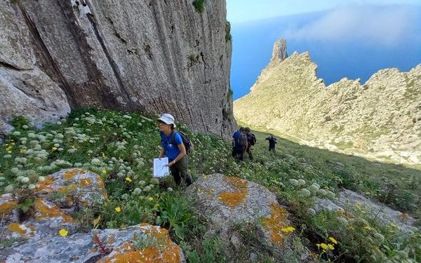 Fotos: Arxiu RRNN (Virgínia Picorelli)