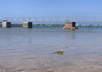 Imagen Ràdioilla Formentera