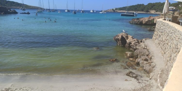 Imatge cedida pel PSOE.