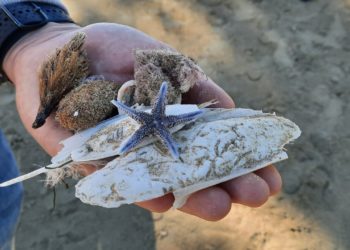 Imagen del proyecto de custodia marina. Salvem Sa Badia de Portmany.