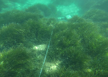 Imagen de uno de los muertos instalados recientemente después de que fueran retirados por el Ayuntamiento el pasado mes de abril