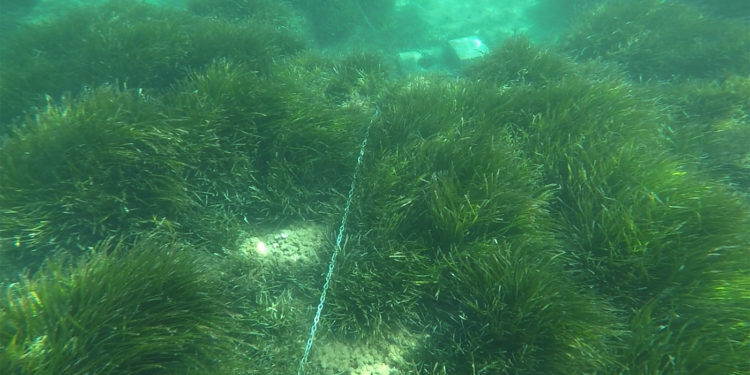 Imagen de uno de los muertos instalados recientemente después de que fueran retirados por el Ayuntamiento el pasado mes de abril
