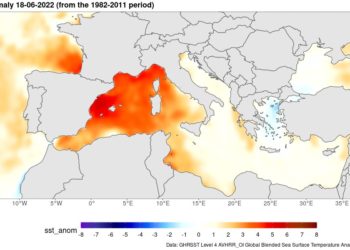 Temperatura del mar actualmente en el Mediterráneo. Imagen de CEAM-Meteorología
