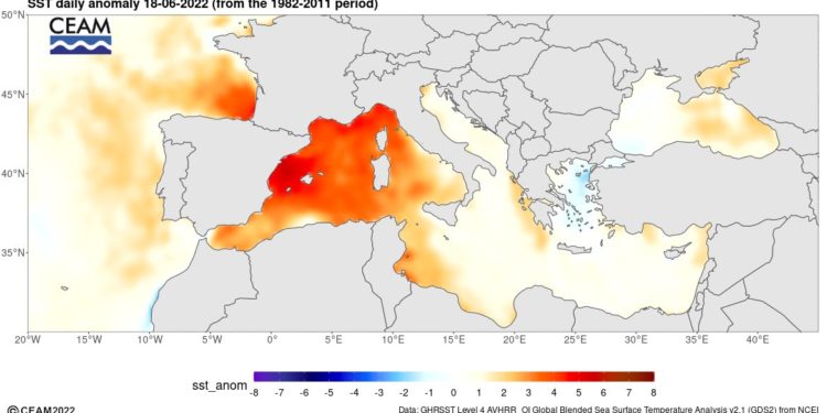 Temperatura del mar actualmente en el Mediterráneo. Imagen de CEAM-Meteorología