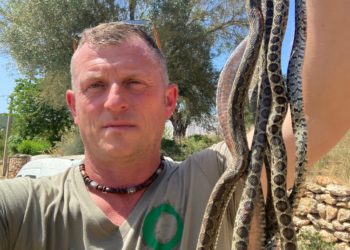 Dean Gallagher, uno de los voluntarios más activos de Amics de la Terra, con un 'manojo' de serpientes.