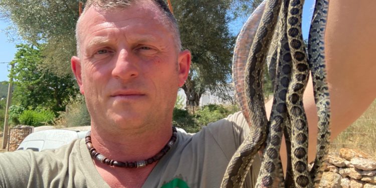 Dean Gallagher, uno de los voluntarios más activos de Amics de la Terra, con un 'manojo' de serpientes.