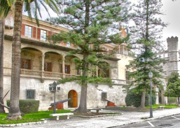 El accidente se ha producido delante de la sede del Govern balear en Palma.