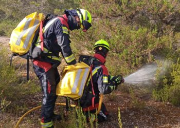 Imatge cedida pel Consell de Formentera.