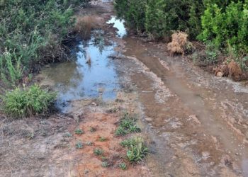 Imagen del vertido facilitada por la denunciante.