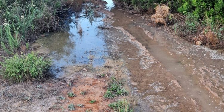 Imagen del vertido facilitada por la denunciante.