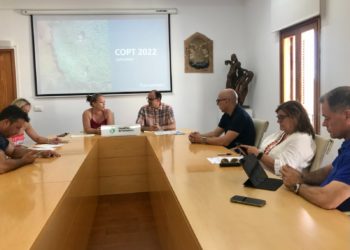 Imatge de la reunió. Consell de Formentera.