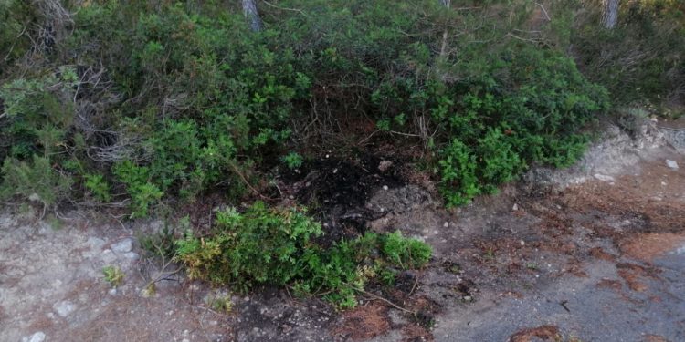 Restos del incendio del Camí Vell de Benirràs. Foto Ibanat