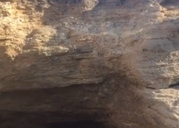 Popular zona de saltos en Cala Bassa, donde a menudo quedan jóvenes para lanzarse.