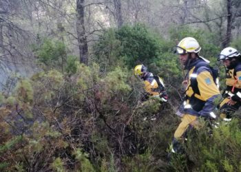 Agentes del Ibanat trabajando en la zona, ayer. Foto Ibanat