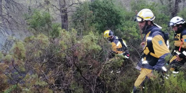 Agentes del Ibanat trabajando en la zona, ayer. Foto Ibanat