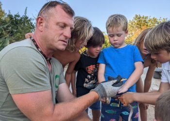 Pequeños turistas británicos conocen las serpientes de Ibiza y sus peligros (pero también que no son venenosas) de la mano del voluntario Dean Gallagher.