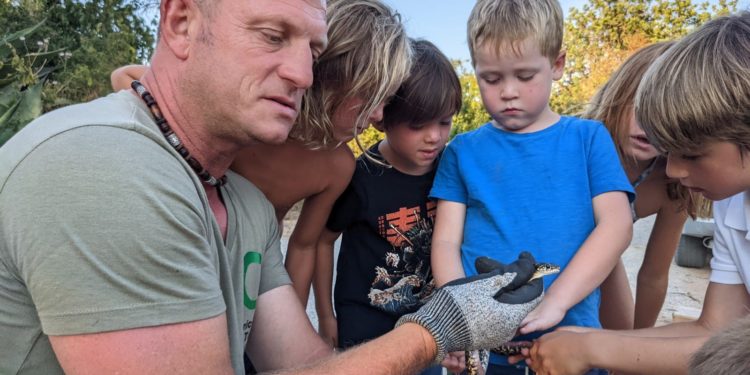 Pequeños turistas británicos conocen las serpientes de Ibiza y sus peligros (pero también que no son venenosas) de la mano del voluntario Dean Gallagher.