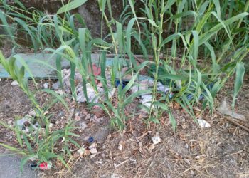 Imagen de restos acumulados en la zona. Foto: PSOE.