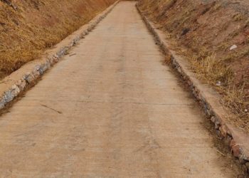El pas després dels treballs de neteja. Foto: PSOE.