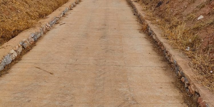 El pas després dels treballs de neteja. Foto: PSOE.
