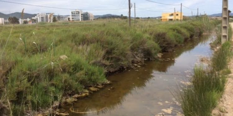 Imagen de archivo de la zona de Ses Feixes.