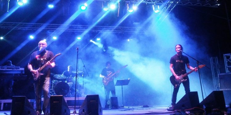 Iván Domenech i Joan Barber durant un concert de Ressonadors l'any 2013.