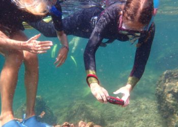 Fotografía submarina en ses Coves Blanques. Imagen cedida por Salvem sa Badia.