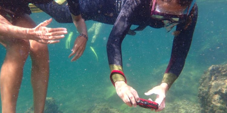 Fotografía submarina en ses Coves Blanques. Imagen cedida por Salvem sa Badia.