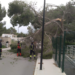 Imagen de archivo de otro incidente con un árbol caído (año 2019).