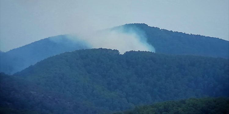 Imagen de archivo de un incendio forestal.