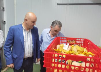 El president del Consell Insular, Vicent Marí, i el president de la Mancomunitat Intermunicipal de Serveis Públics Insulars, Andreu Roig, visiten l'escorxador. Consell d'Eivissa.