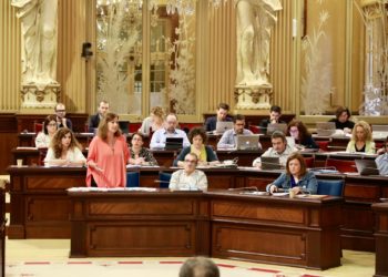 Sesión parlamentaria de hoy en la que se ha aprobado la nueva ley balear.