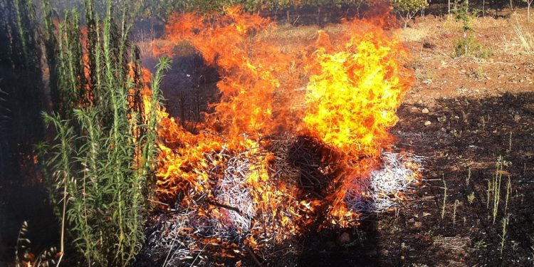 Quema de rastrojos. Foto Lorenzo Vallés
