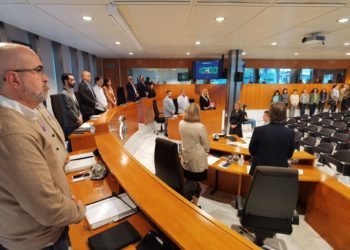 Minuto de silencio en el Consell de Ibiza durante el pleno.