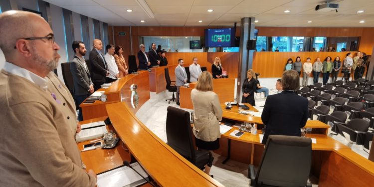 Minuto de silencio en el Consell de Ibiza durante el pleno.