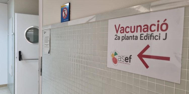 Punto de vacunación en Can Misses.