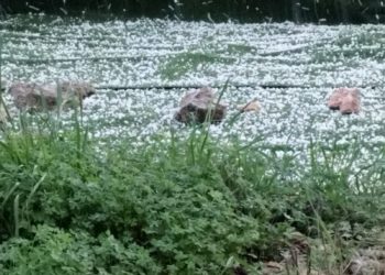 Imagen del granizo en un campo de Fruitera de Baix, Santa Gertrudis