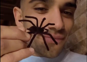 Jorge Martín Almoguera muestra la araña falsa que va a usar para la broma a su novia, María Monfort Matutes