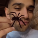 Jorge Martín Almoguera muestra la araña falsa que va a usar para la broma a su novia, María Monfort Matutes