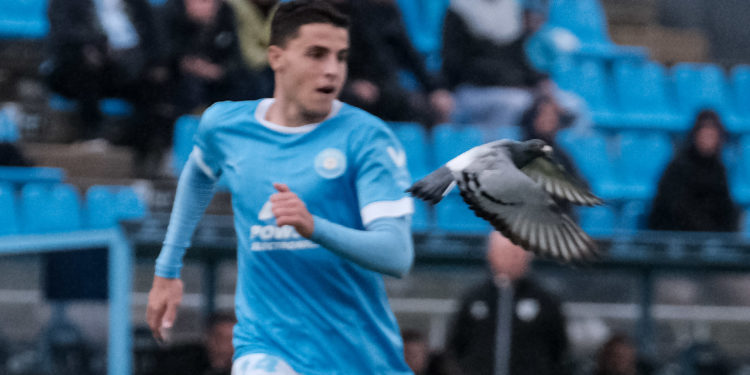 Una paloma sobrevoló el terreno de juego / Foto twitter LaLiga2