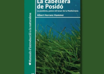 Publican el ensayo sobre la posidonia «La cabellera de Posidó»