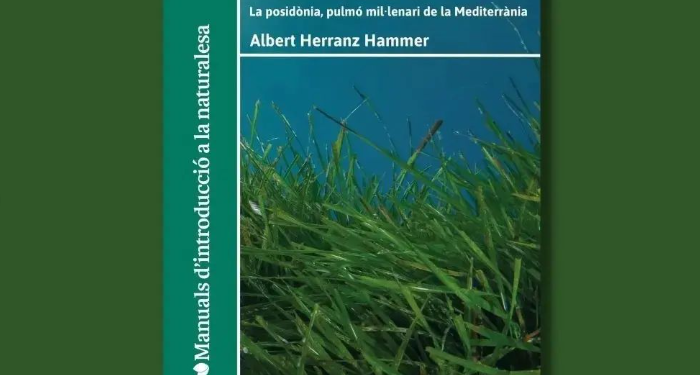 La cabellera de Posidó Albert Herranz Hammer