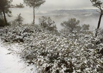 Nieve en la cima de Sa Talaia de Sant Josep esta mañana de lunes. Fotos de Costa Victoriano