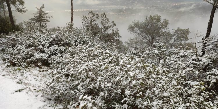 Nieve en la cima de Sa Talaia de Sant Josep esta mañana de lunes. Fotos de Costa Victoriano