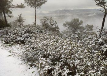 Nieve en la cima de Sa Talaia de Sant Josep esta mañana de lunes. Fotos de Costa Victoriano