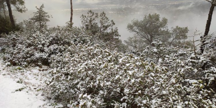 Nieve en la cima de Sa Talaia de Sant Josep esta mañana de lunes. Fotos de Costa Victoriano