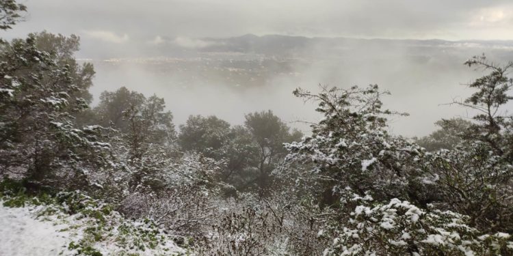 Nieve en Sa Talaia de Sant Josep. Fotos de Costa Victoriano