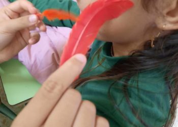 Alumnes de primària de Formentera han rebut formació relacionada amb la salut afectivosexual. Foto: Consell Insular.